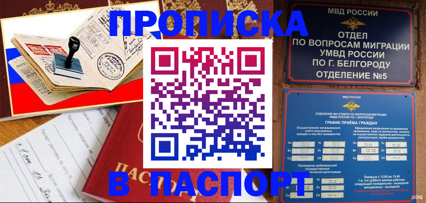 купить прописку в Кувшиново